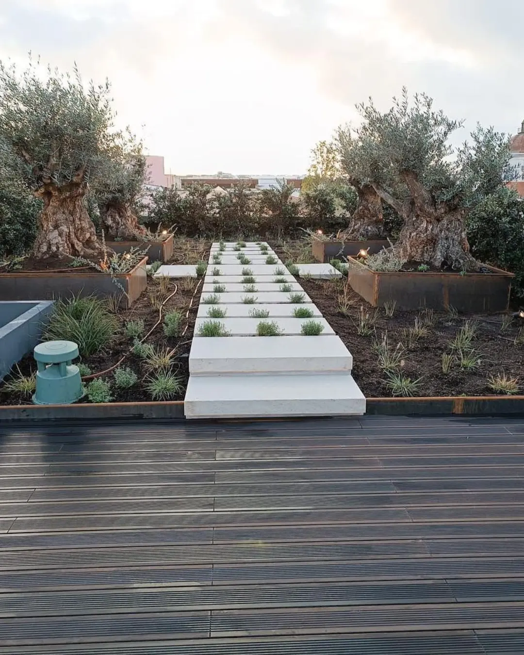 Fornecedor de Árvores e plantas